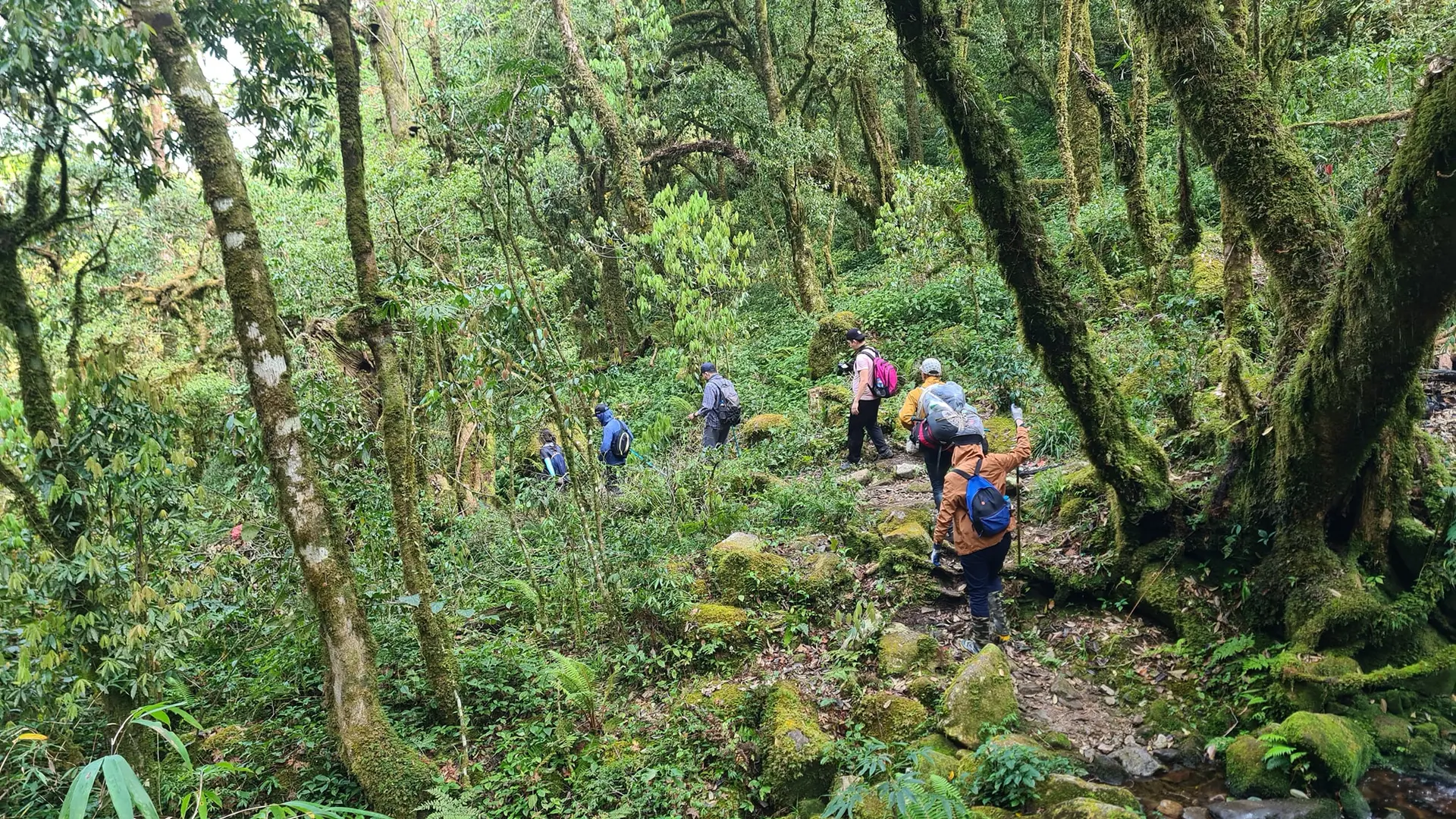 Lung Cung Mount Trekking Tour 3 Days